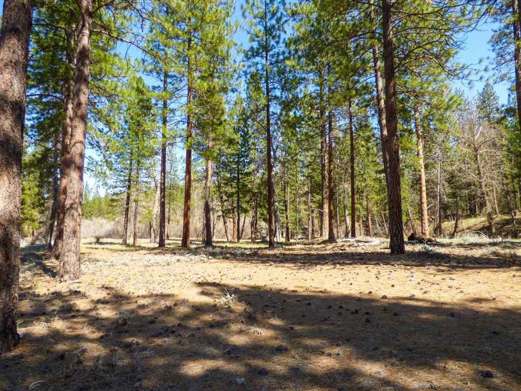 0 Culp Way Fort Jones, CA 96032 - Photo 16 of 16 Gallery Image 16