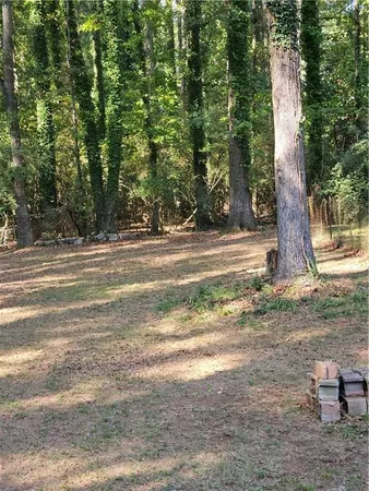 a view of a yard with tree s