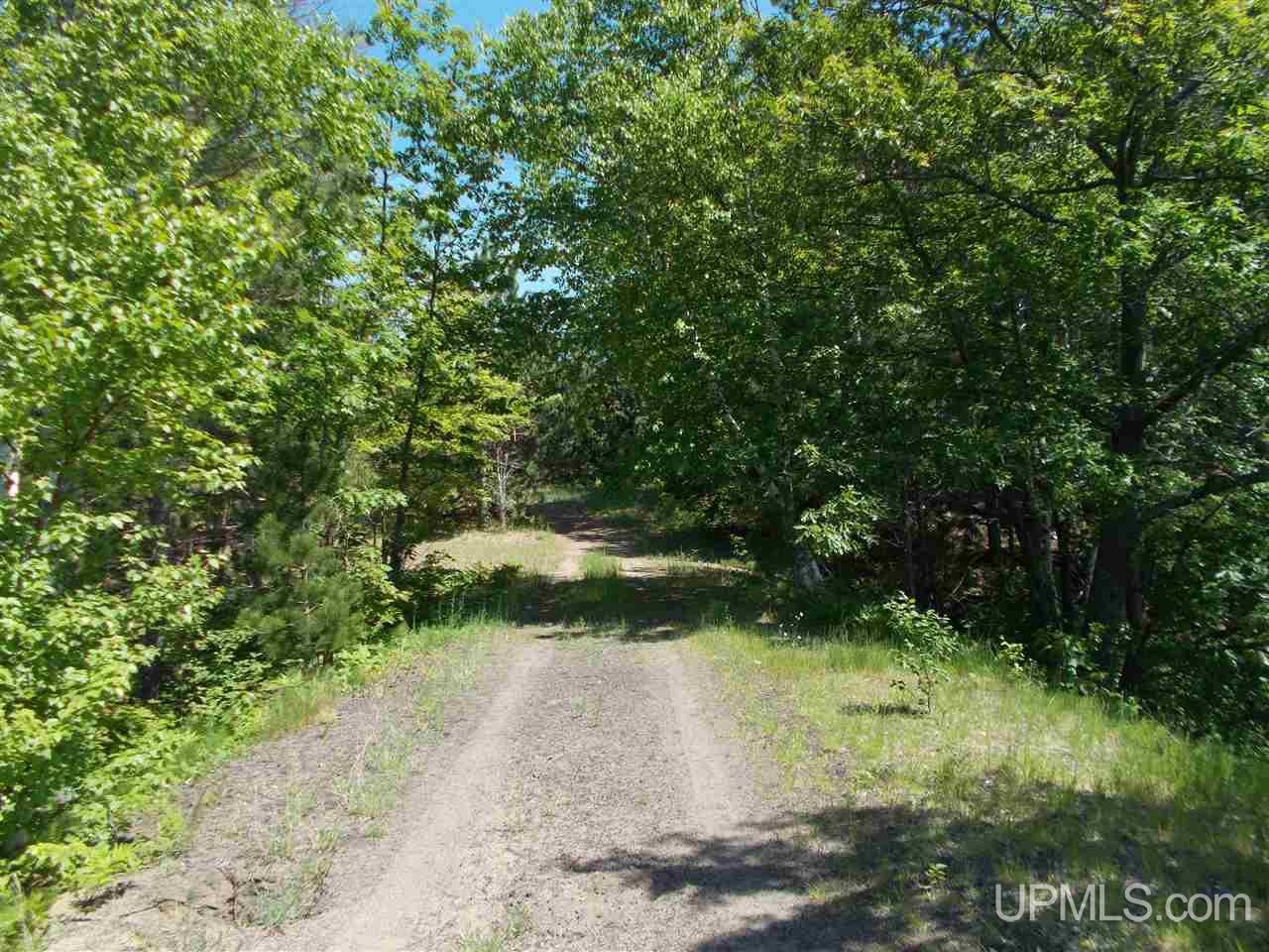 Lot A Lot A D Road Big Bay, MI 49808 - Photo 7 of 16