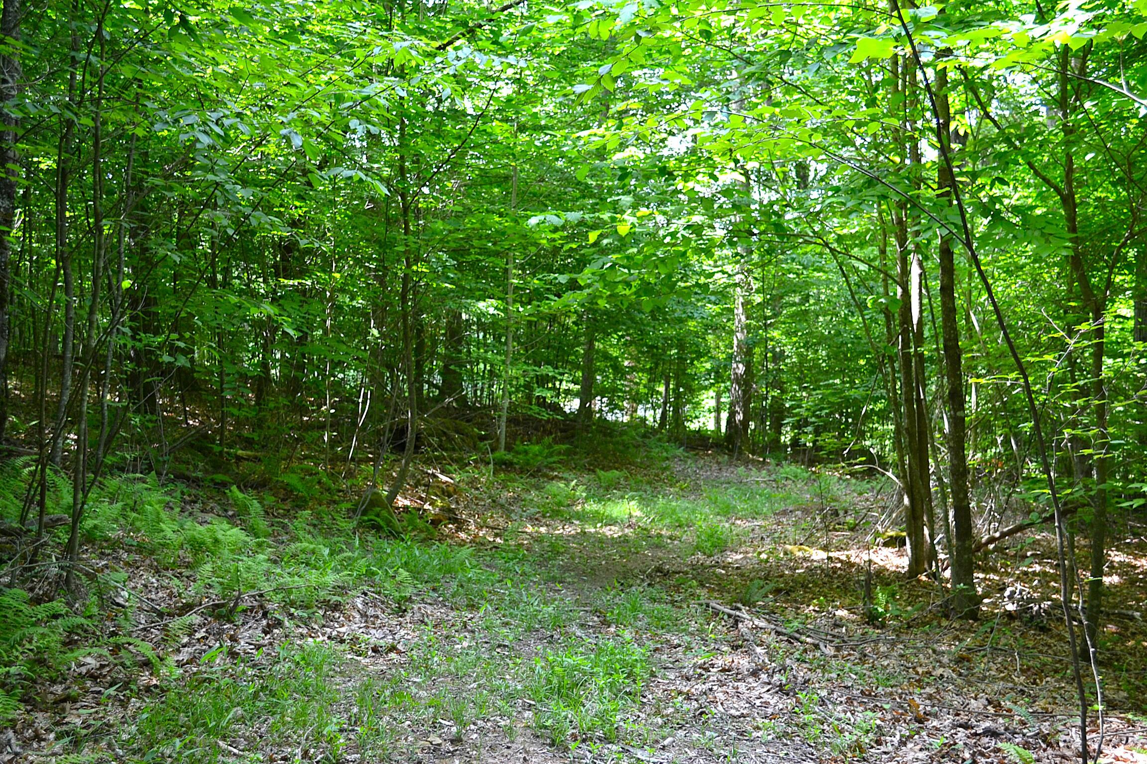 Cold Hollow Road Rainelle, WV 25962 - Photo 31 of 31 Gallery Image 31