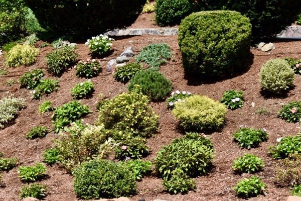 10 Dennett Road Winchester, MA 01890 - Photo 30 of 32 Gallery Image 30