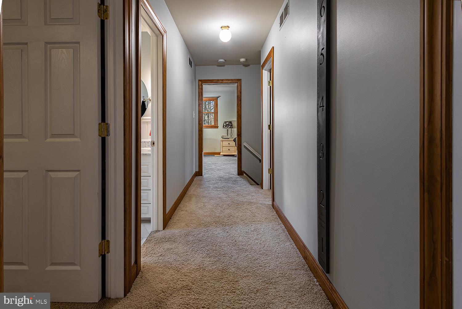 27 Mill Road Shamong, NJ 08088 - Photo 19 of 29