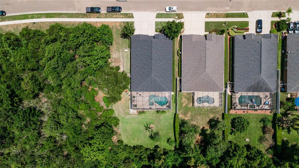 16207 Rambling Road Odessa, FL 33556 - Photo 60 of 76