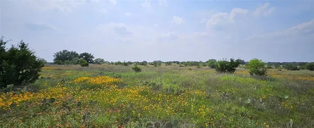a view of a lake and green valley