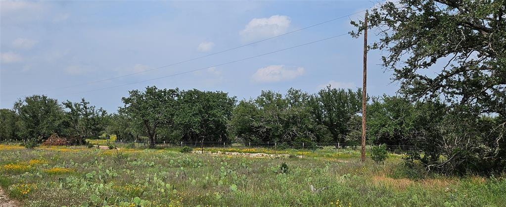 Tbd Starks Road Mason, TX 76856 - Photo 12 of 34 a yard with trees in the background