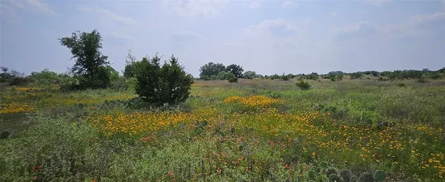 a view of a lake in middle of forest