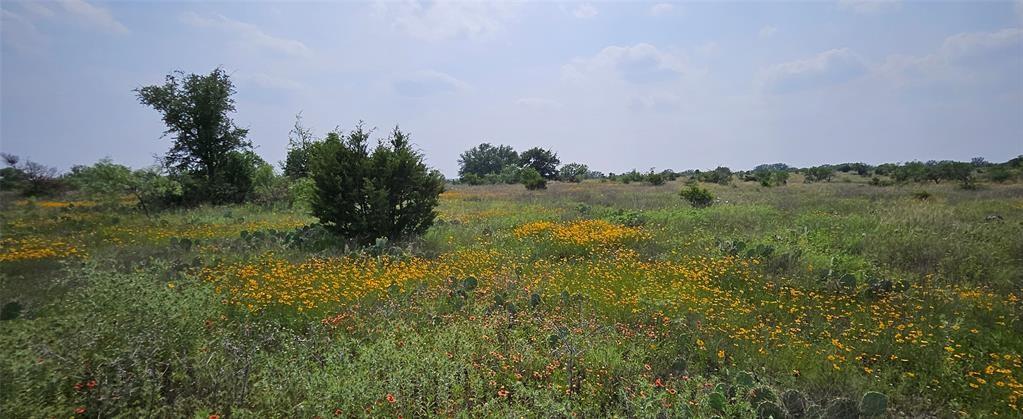 Tbd Starks Road Mason, TX 76856 - Photo 13 of 34 a view of a lake in middle of forest