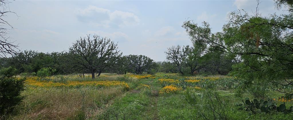 Tbd Starks Road Mason, TX 76856 - Photo 14 of 34 a view of swimming pool with a yard