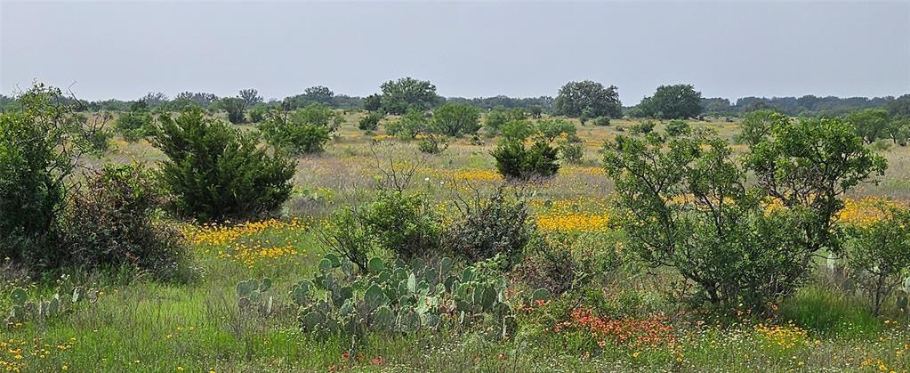 Tbd Starks Road Mason, TX 76856 - Photo 16 of 34 a view of a lake from a yard