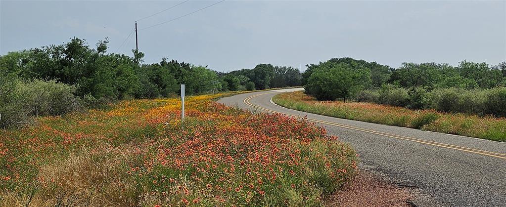 Tbd Starks Road Mason, TX 76856 - Photo 17 of 34 a backyard of a house with lots of green space