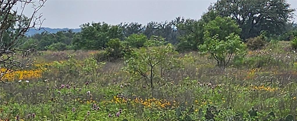 Tbd Starks Road Mason, TX 76856 - Photo 18 of 34 a view of a lush green forest