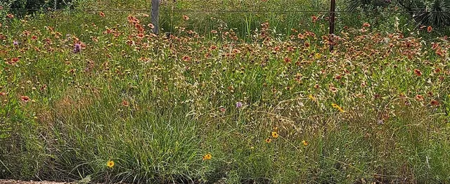 a view of a plants and white wall