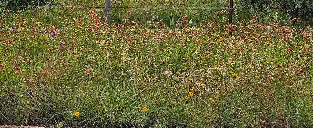 Tbd Starks Road Mason, TX 76856 - Photo 20 of 34 a view of a plants and white wall