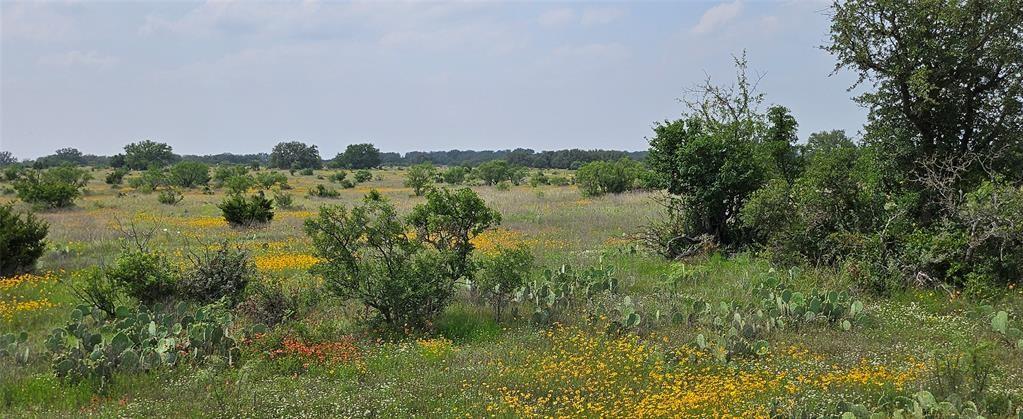Tbd Starks Road Mason, TX 76856 - Photo 2 of 34 a view of a lake with a mountain in the background
