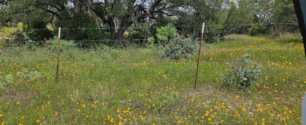 Tbd Starks Road Mason, TX 76856 - Photo 21 of 34 a view of a garden from a lake