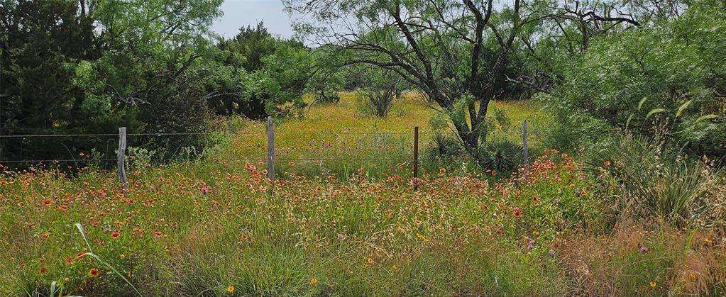 Tbd Starks Road Mason, TX 76856 - Photo 22 of 34 a backyard of a house with lots of green space and lake view