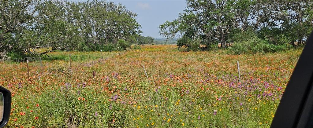 Tbd Starks Road Mason, TX 76856 - Photo 25 of 34