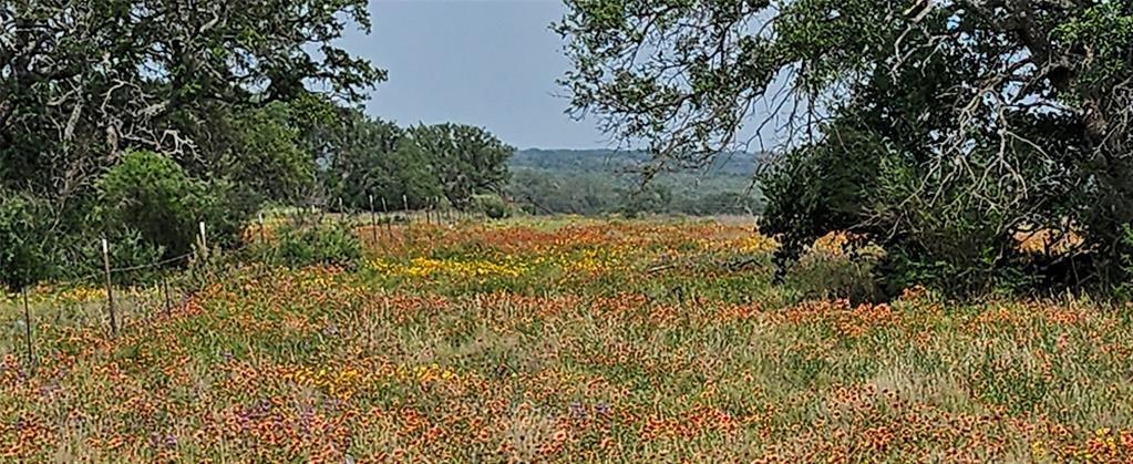 Tbd Starks Road Mason, TX 76856 - Photo 28 of 34 a view of a yard with plants and trees