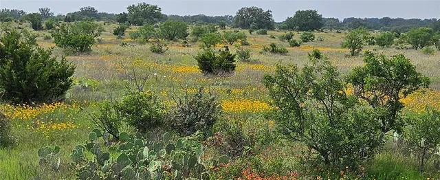 a view of a lake with trees in the background