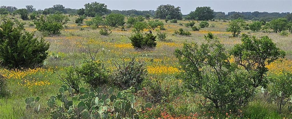 Tbd Starks Road Mason, TX 76856 - Photo 5 of 34 a view of a lake with trees in the background