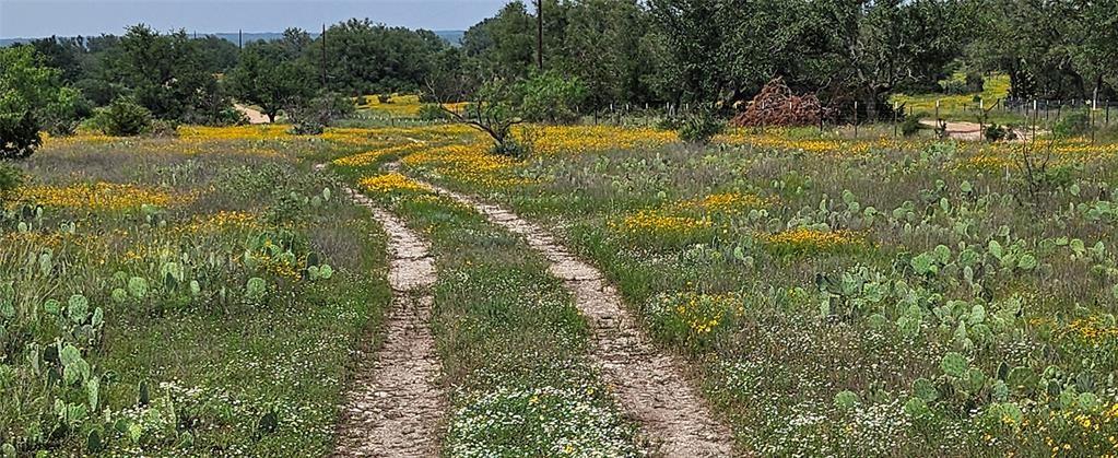 Tbd Starks Road Mason, TX 76856 - Photo 6 of 34 a view of swimming pool with a yard and trees