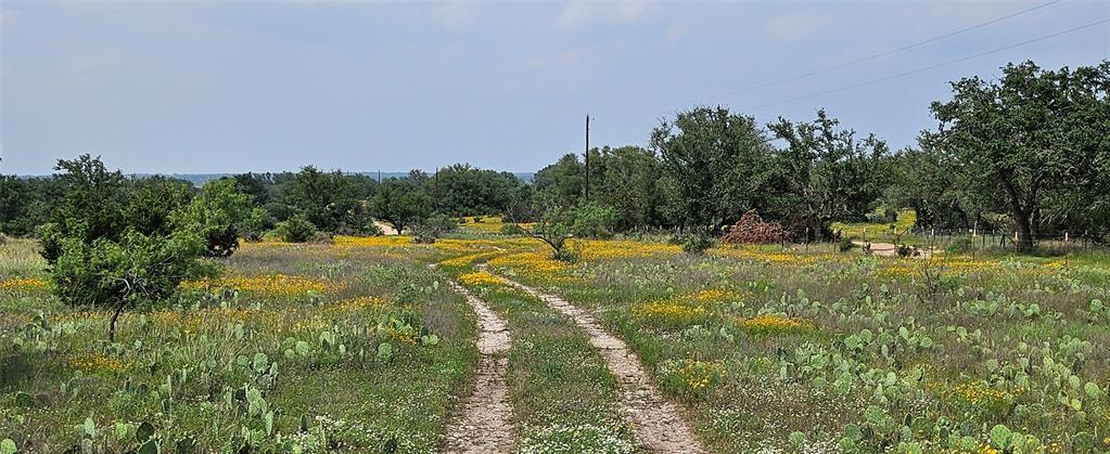 Tbd Starks Road Mason, TX 76856 - Photo 7 of 34 a view of a park with large trees