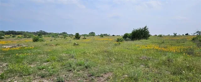 a view of a green field with lots of green space in the back