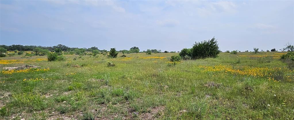 Tbd Starks Road Mason, TX 76856 - Photo 8 of 34 a view of a green field with lots of green space in the back