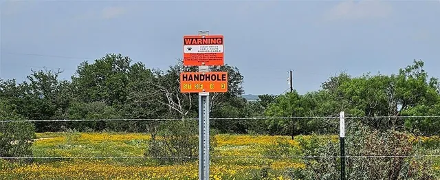 a swimming pool with tall trees
