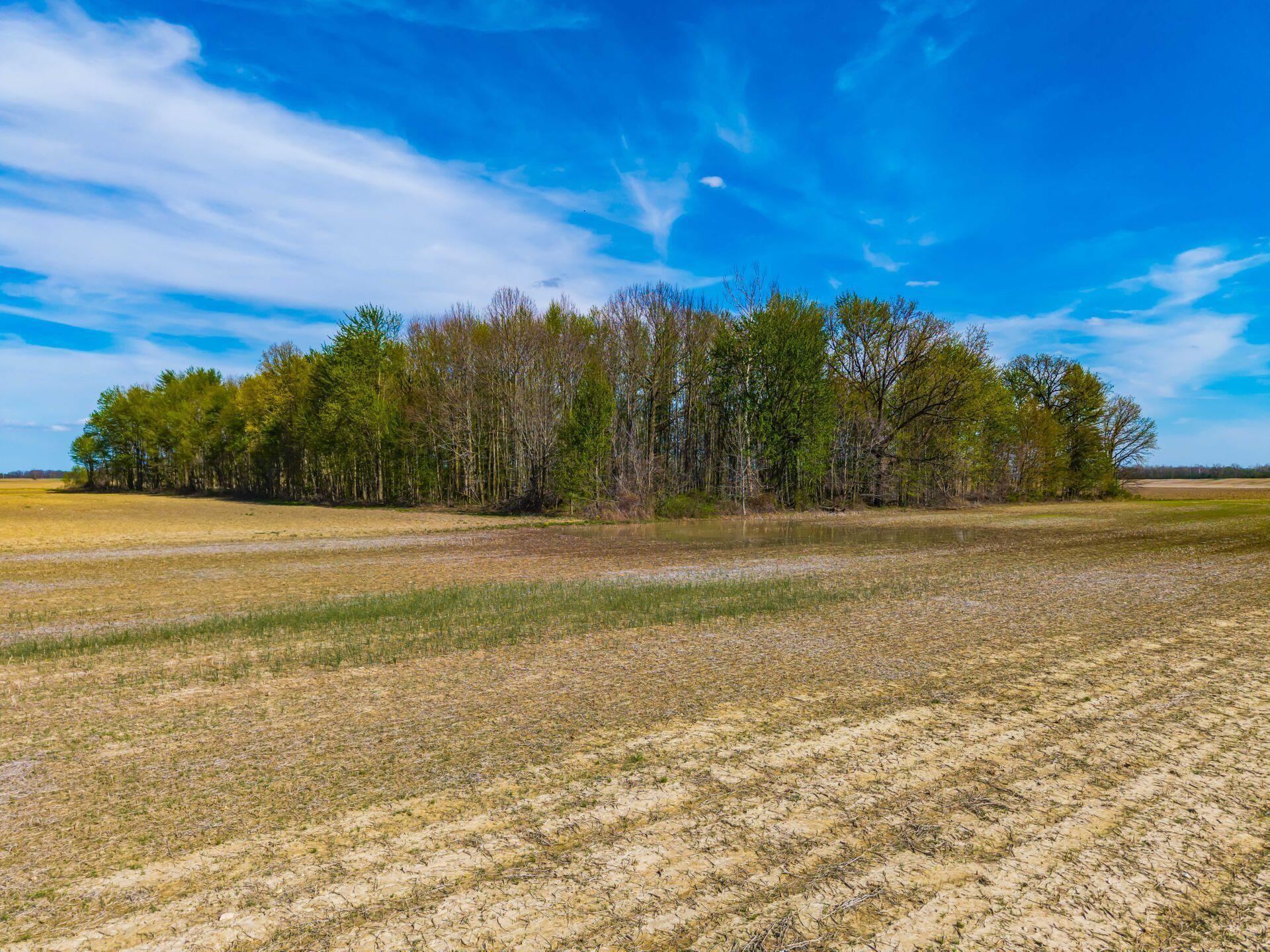 0 Fields Road Richwood, OH 43344 - Photo 11 of 30 .