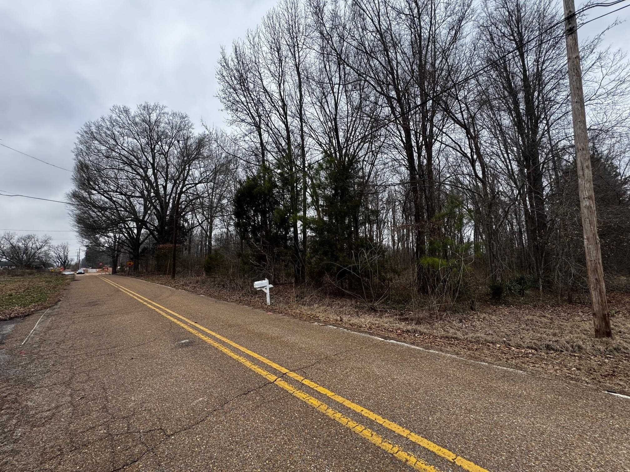 0 Gragg Road Millington, TN 38053 - Photo 4 of 5 a backyard of a house with lots of green space