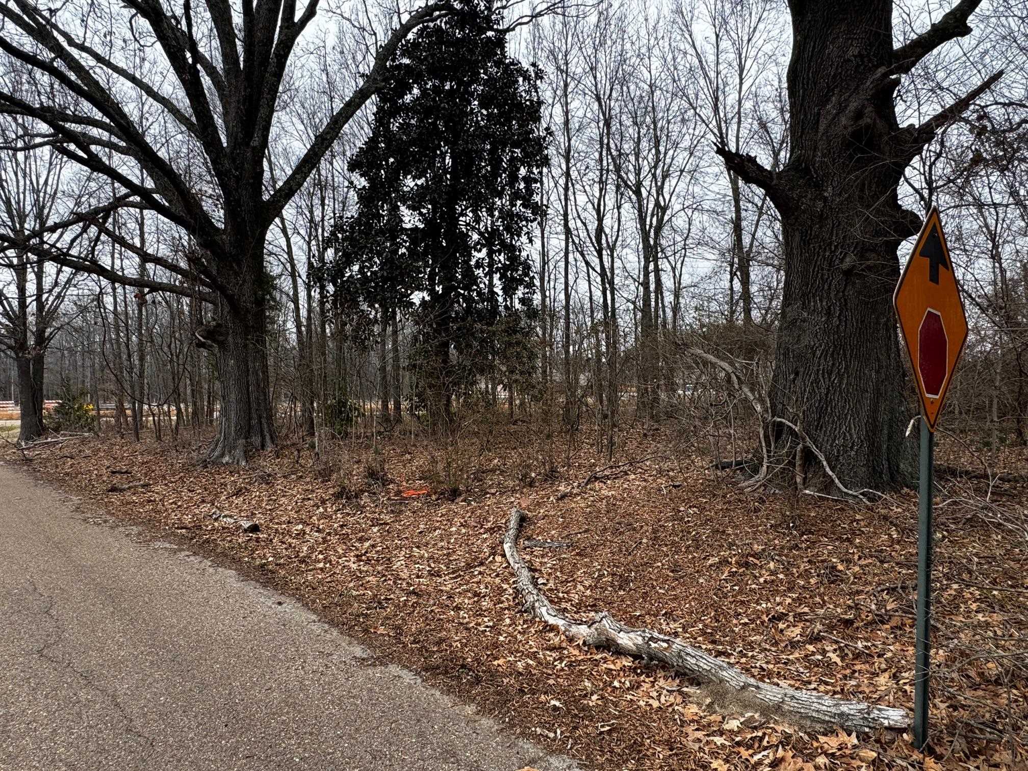 0 Gragg Road Millington, TN 38053 - Photo 5 of 5 a backyard of a house with lots of green space