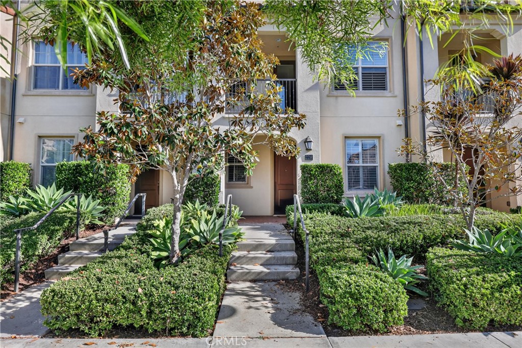 a view of a pathway with potted plants and large tree