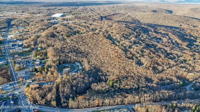 a view of lot of trees