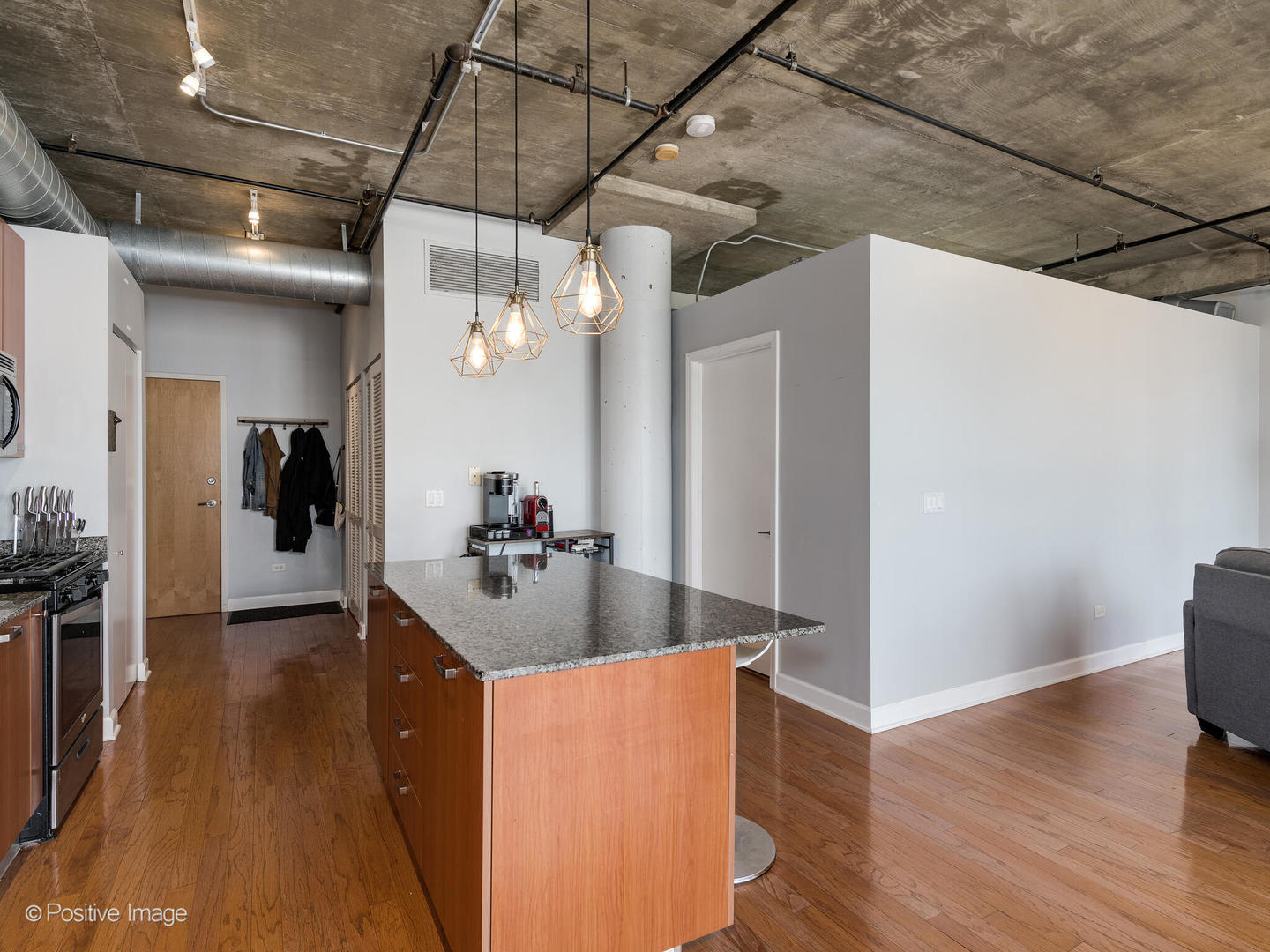 111 South Morgan Street, Unit 725 Chicago, IL 60607 - Photo 9 of 17