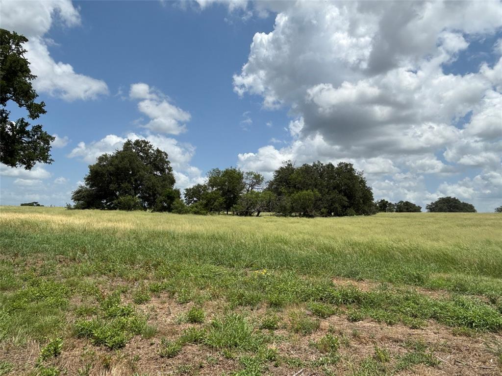 Lot 4 Old Patton Road Valley Mills, TX 76689 - Photo 2 of 3