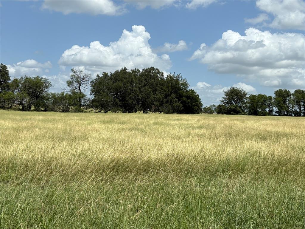 Lot 4 Old Patton Road Valley Mills, TX 76689 - Photo 3 of 3