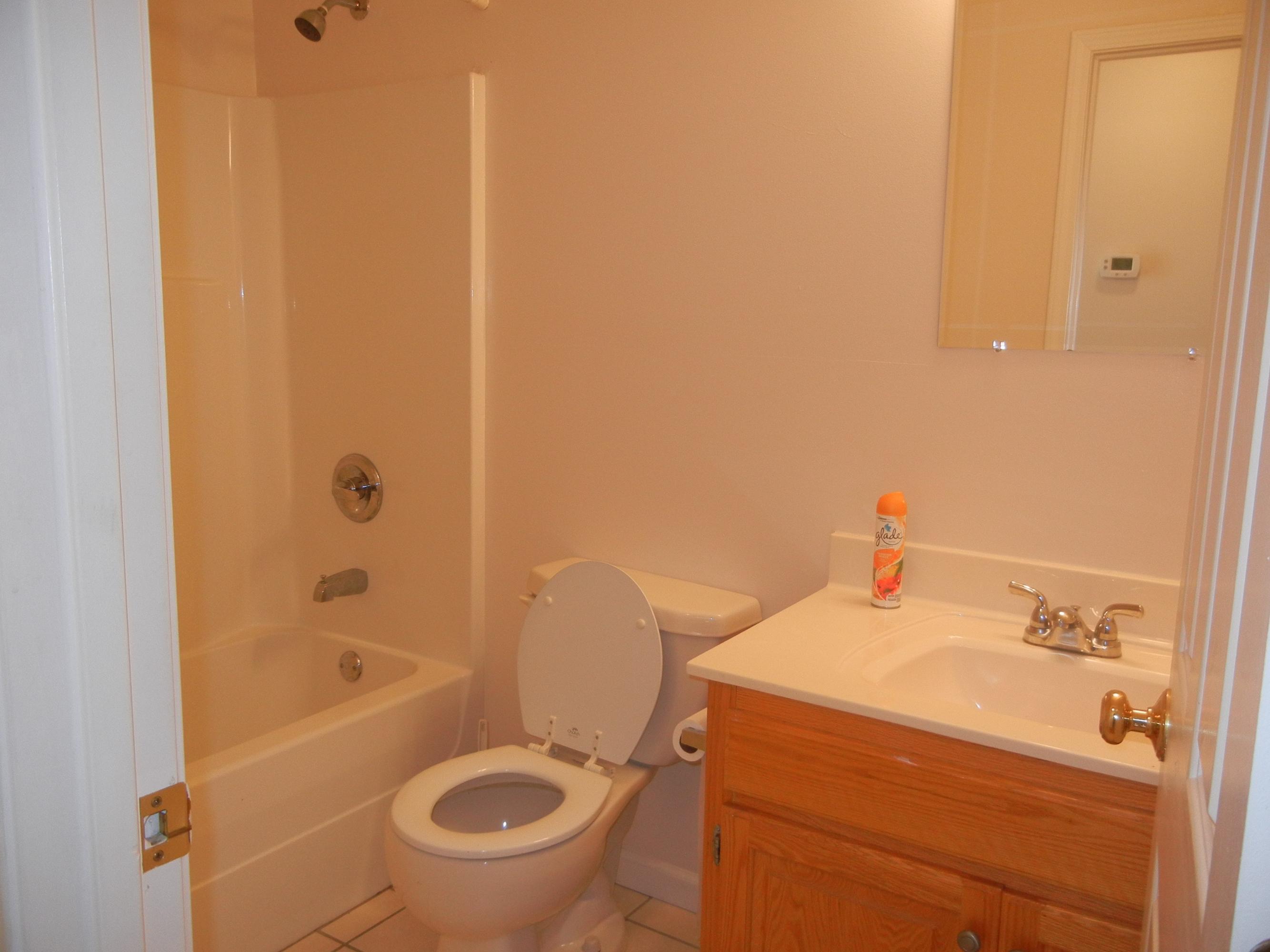 959 Reeves Road Monterey, TN 38574 - Photo 19 of 22 2nd Bathroom