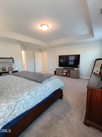a large bedroom with a bed and a television in the background