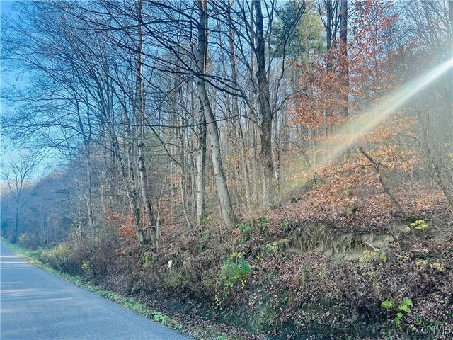 $88,900 | 0 West Cheningo Road, Truxton, NY 13158