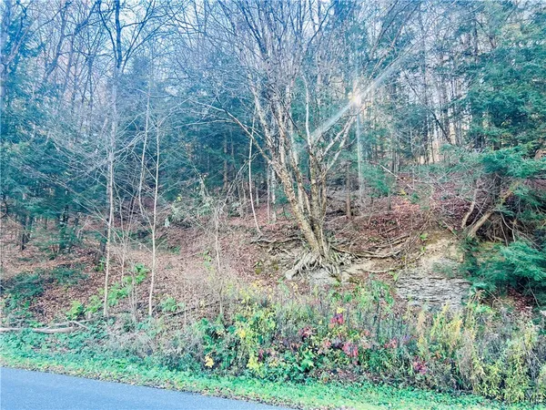 $79,900 | 0 West Cheningo Road, Truxton, NY 13158