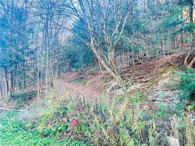 $88,900 | 0 West Cheningo Road, Truxton, NY 13158