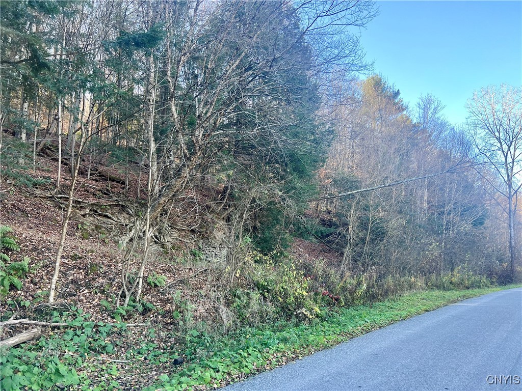 0 West Cheningo Road Truxton, NY 13158 - Photo 4 of 9