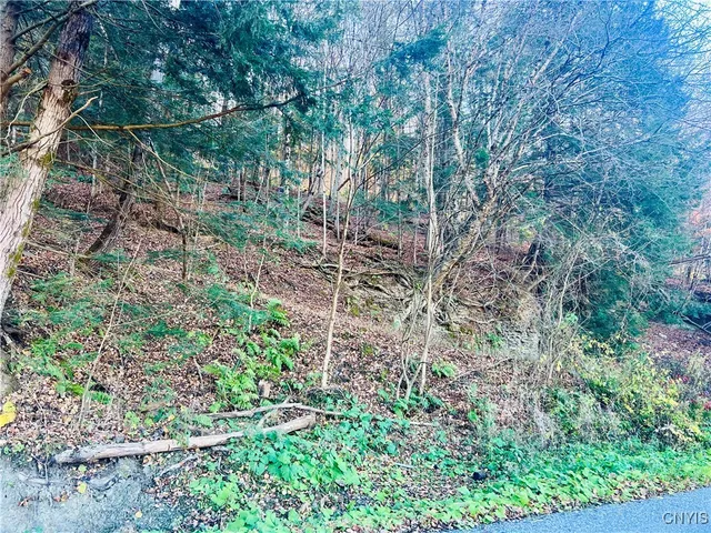 $88,900 | 0 West Cheningo Road, Truxton, NY 13158