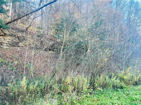 $79,900 | 0 West Cheningo Road, Truxton, NY 13158