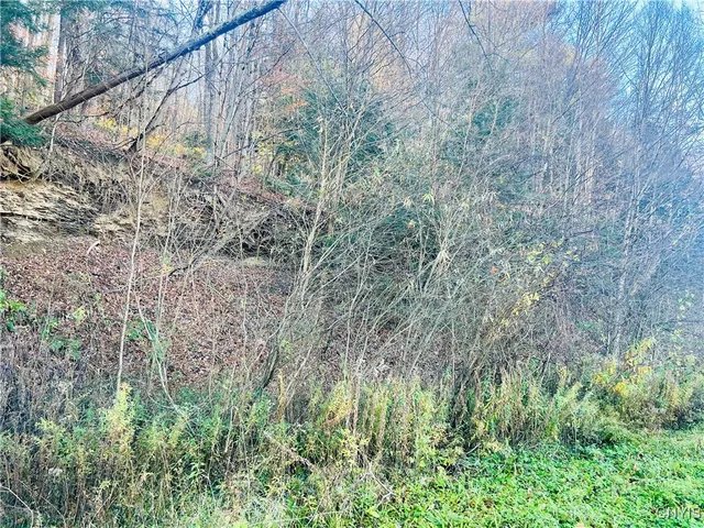 $88,900 | 0 West Cheningo Road, Truxton, NY 13158