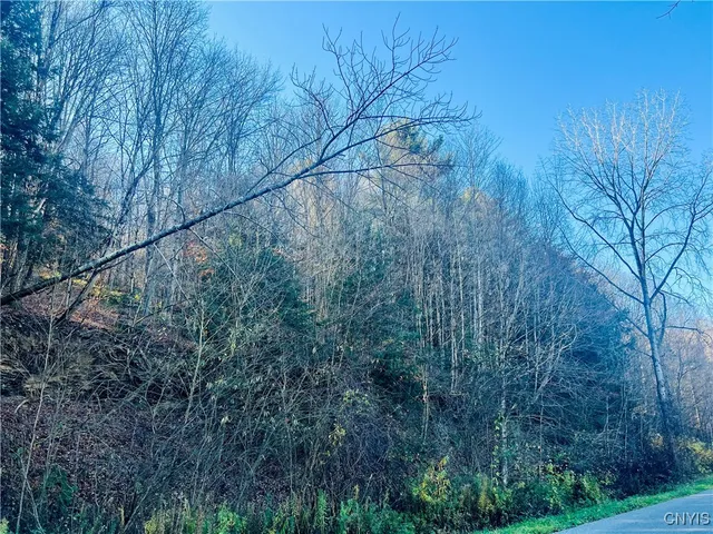 $88,900 | 0 West Cheningo Road, Truxton, NY 13158