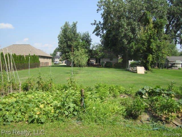 5494 Branch Street Sterling Heights, MI 48310 - Photo 2 of 2 IMG_5889