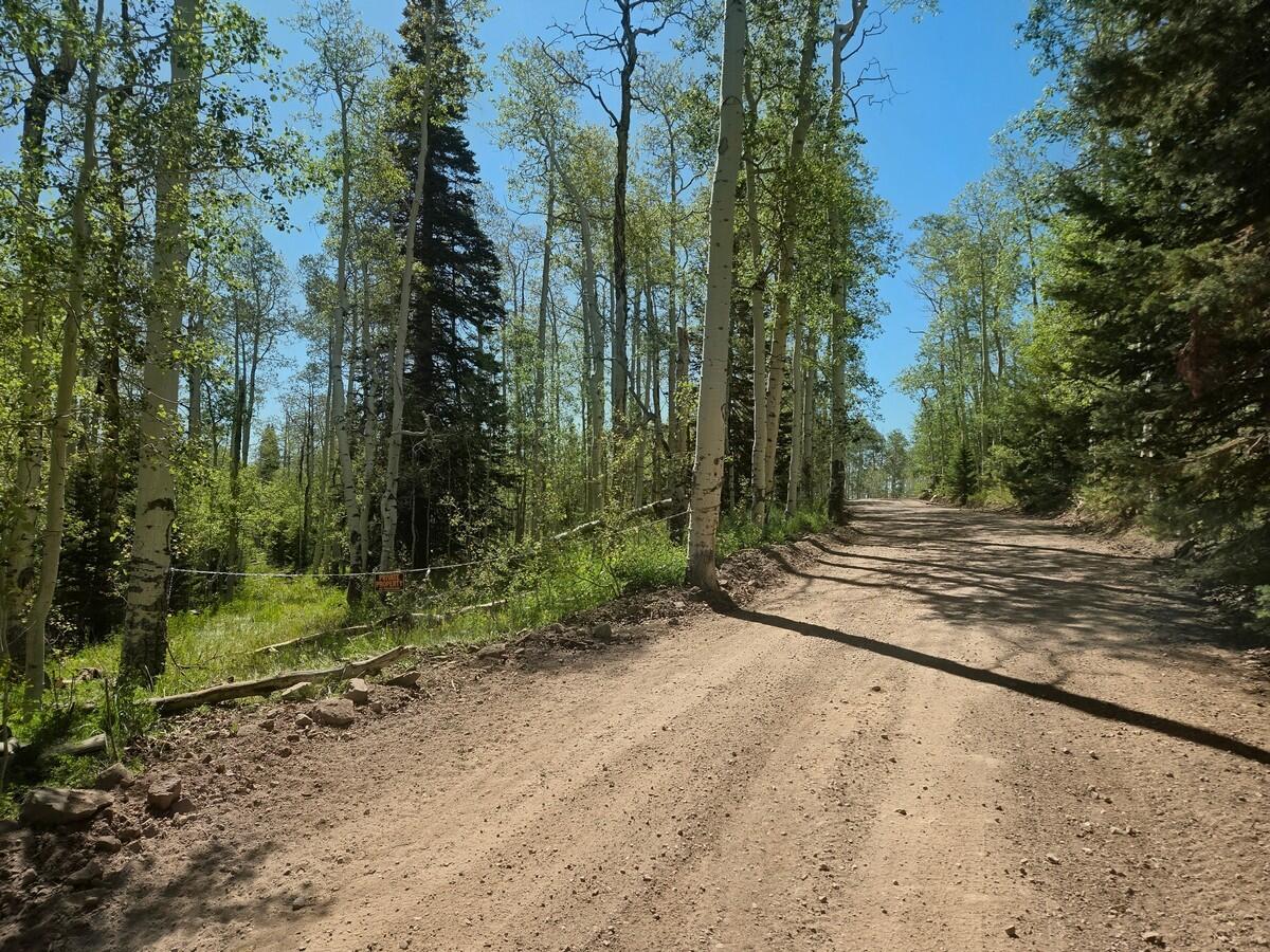 40 Acres Summit Mountain Road Brian Head, UT 84719 - Photo 22 of 32 County Road
