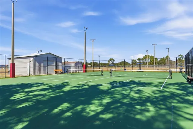 a view of a park with large trees